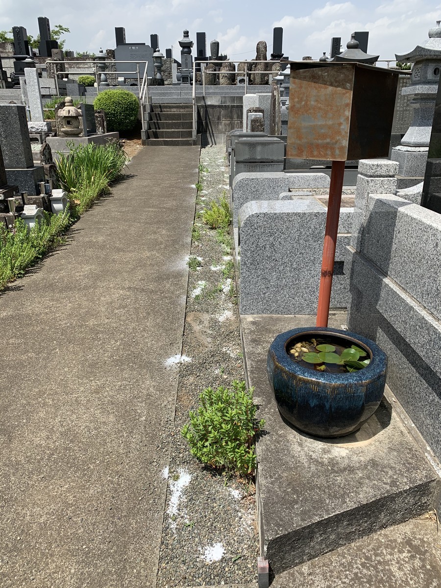 f:id:dohgen:20200513202416j:plain