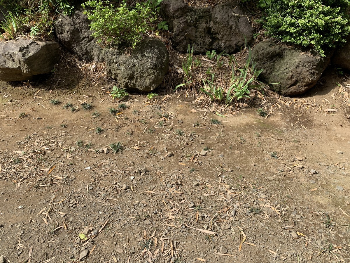 f:id:dohgen:20200523171222j:plain
