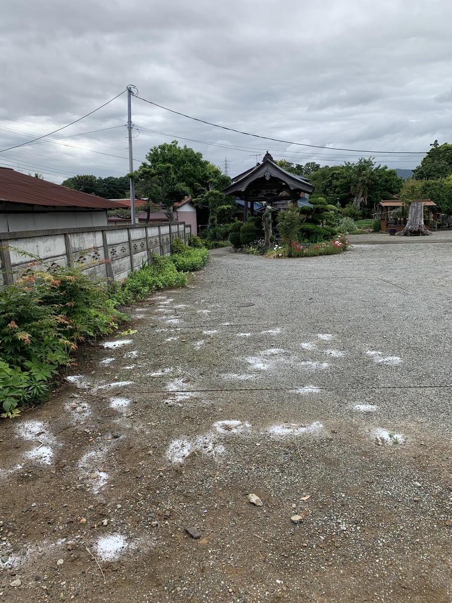 f:id:dohgen:20200523172654j:plain