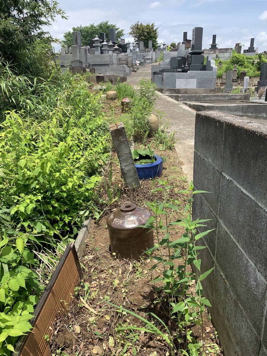 f:id:dohgen:20200525141739j:plain
