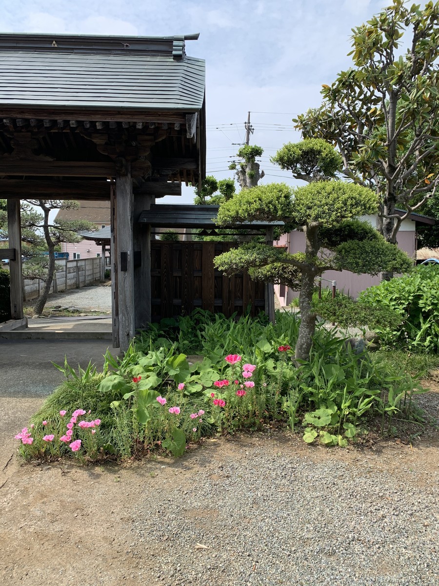 f:id:dohgen:20200526122050j:plain