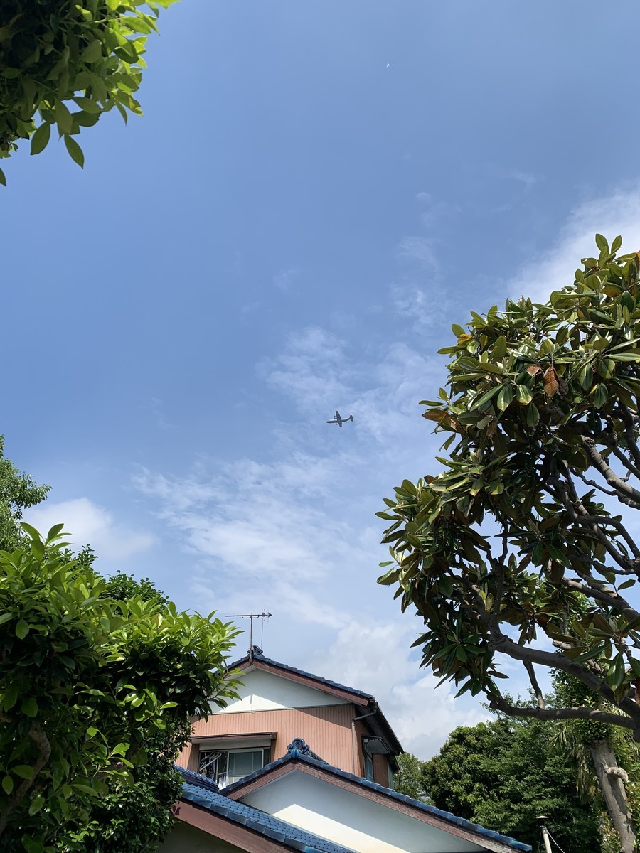 f:id:dohgen:20200527150525j:plain f:id:dohgen:20200527150525j:plain
