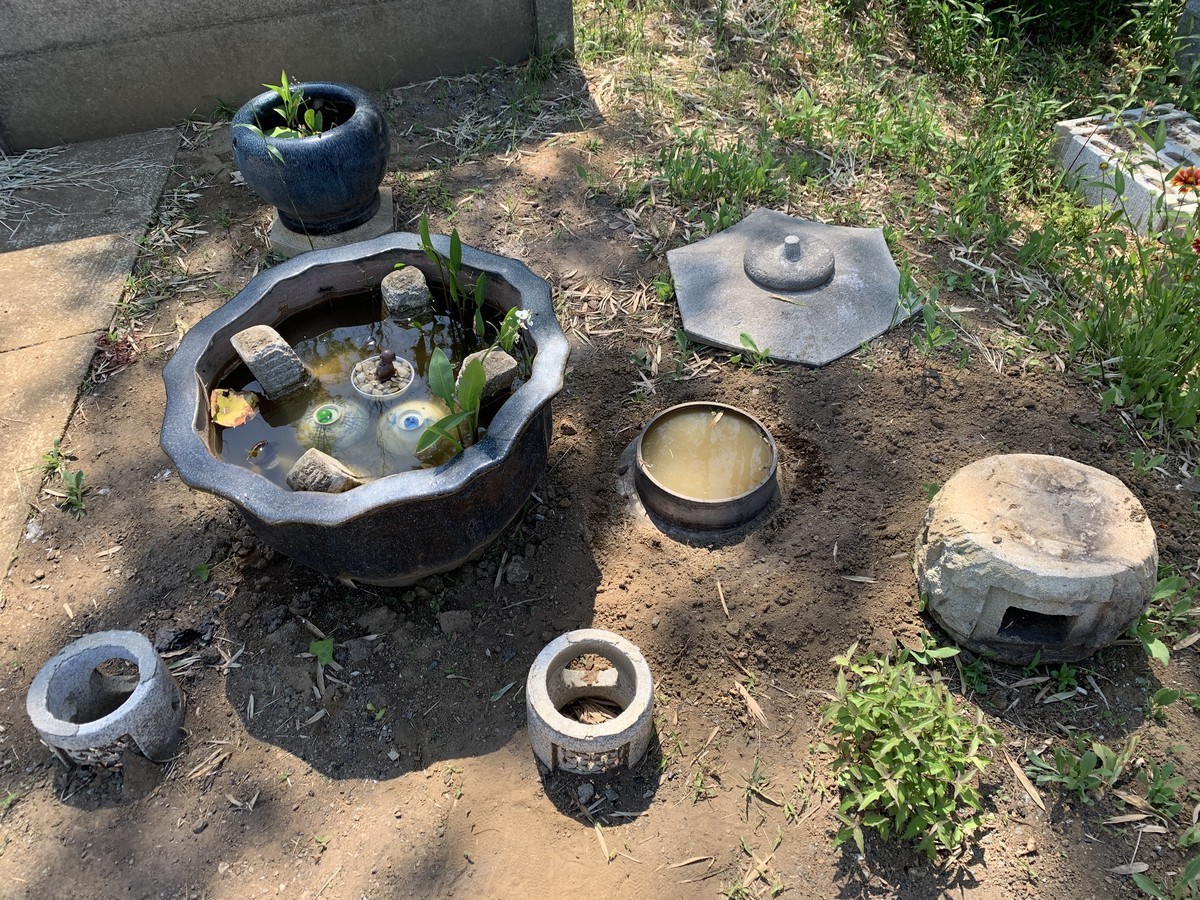 f:id:dohgen:20200529111310j:plain f:id:dohgen:20200529111310j:plain