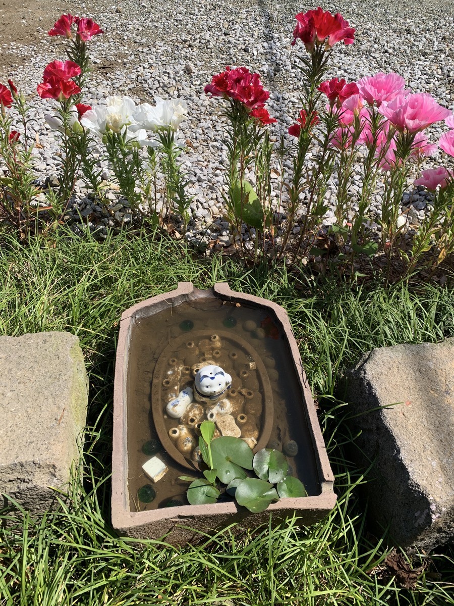 f:id:dohgen:20200529112152j:plain f:id:dohgen:20200529112152j:plain