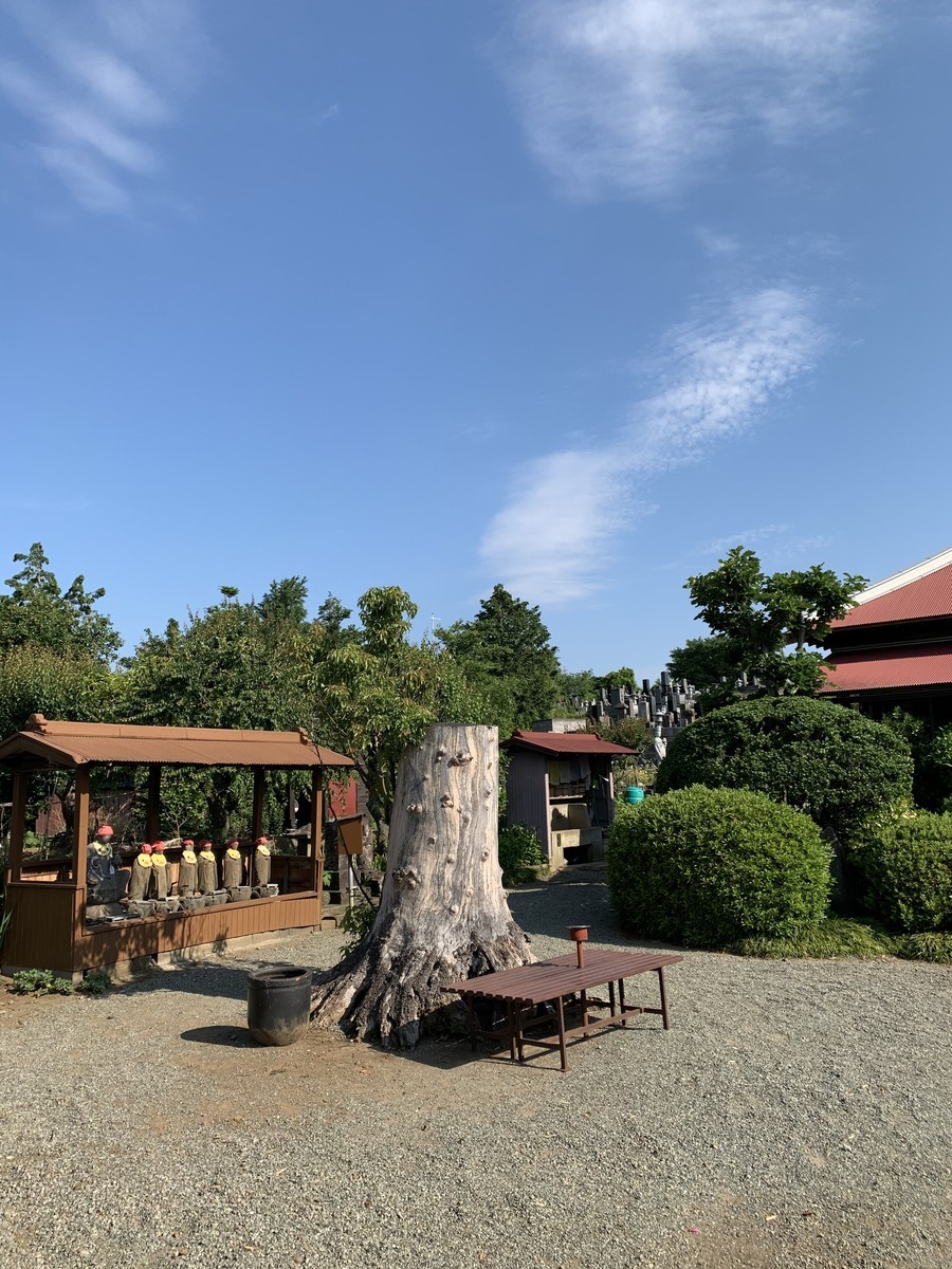 f:id:dohgen:20200530120408j:plain