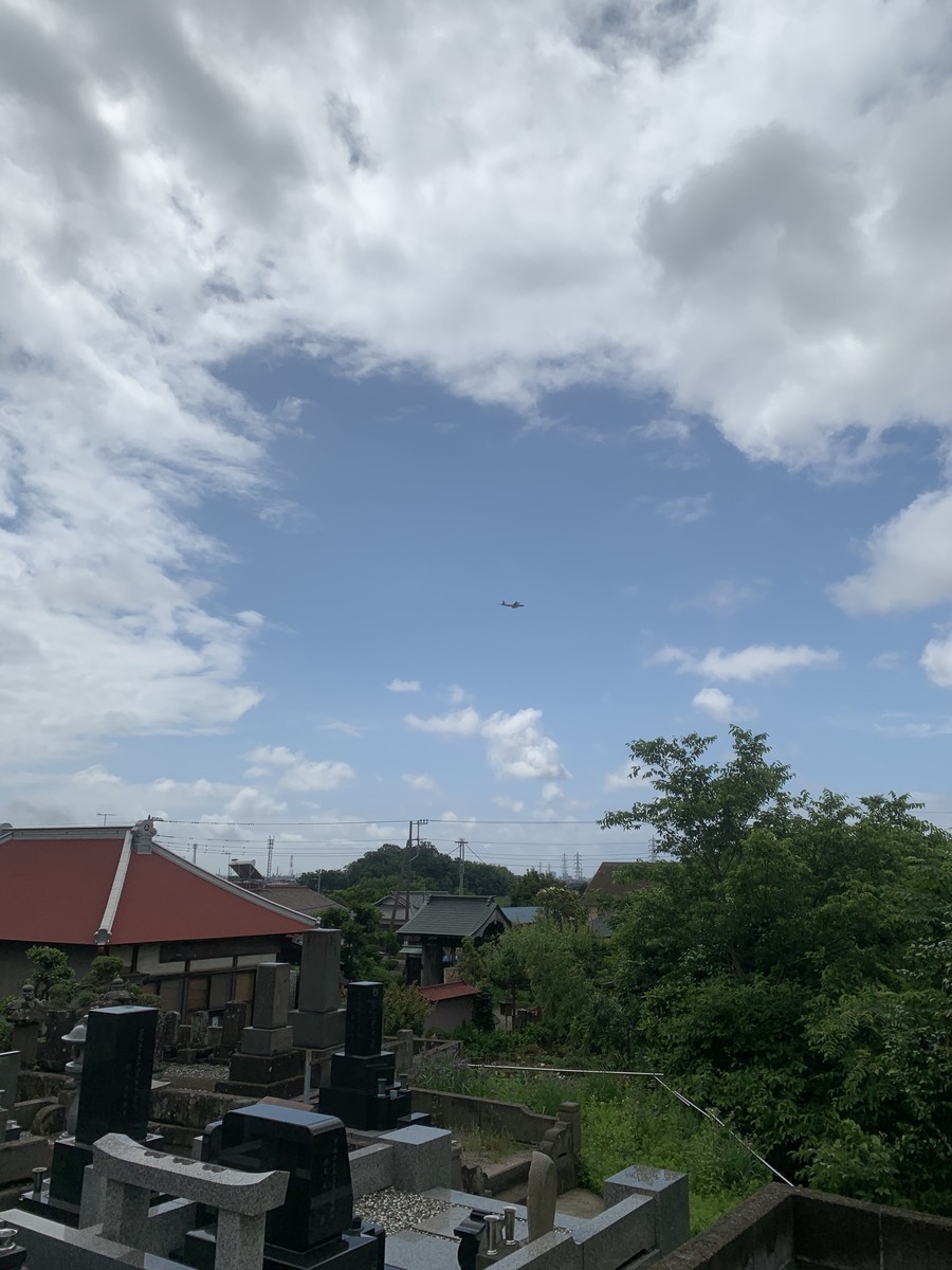 f:id:dohgen:20200602114020j:plain
