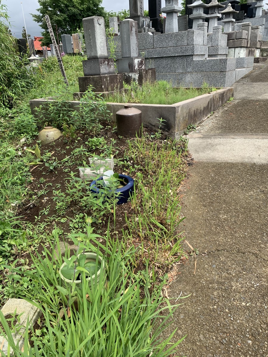 f:id:dohgen:20200602151659j:plain