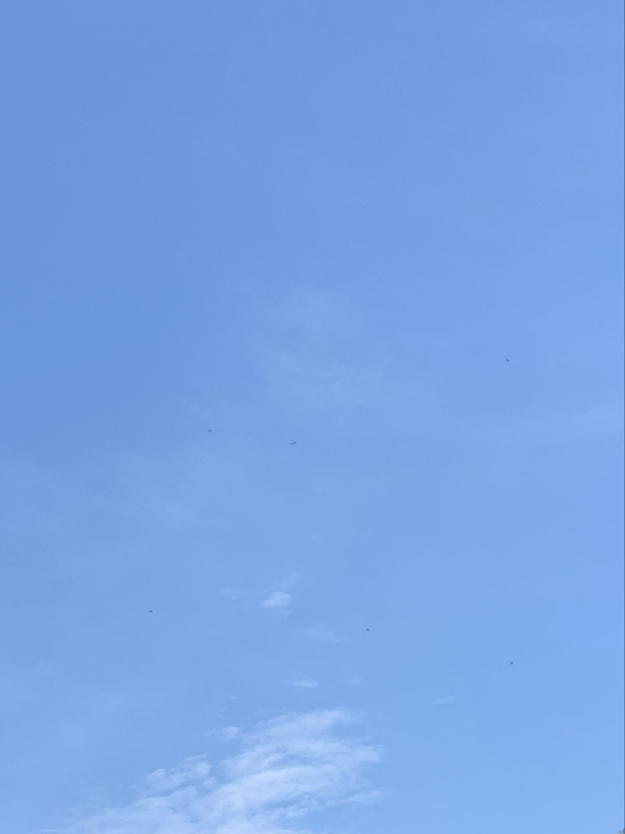 f:id:dohgen:20200602152313p:plain