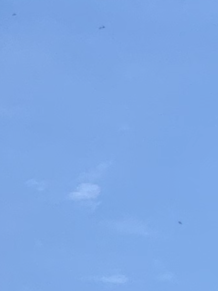 f:id:dohgen:20200602152403p:plain