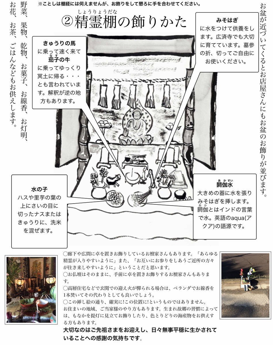 f:id:dohgen:20200607081344j:plain