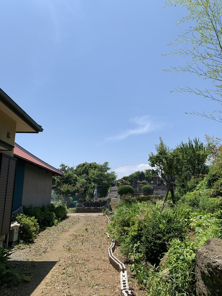 f:id:dohgen:20200617132417j:plain f:id:dohgen:20200617132417j:plain