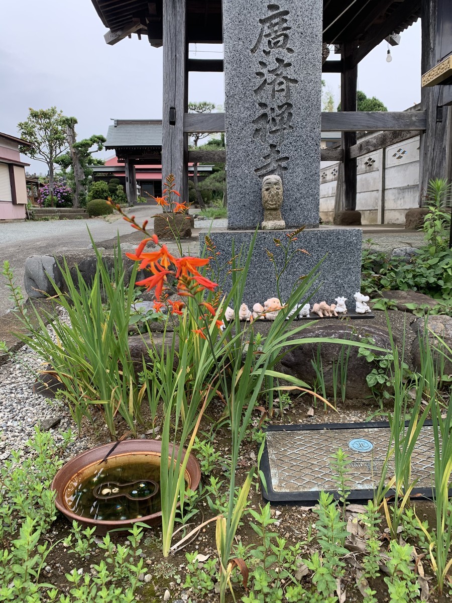 f:id:dohgen:20200618132633j:plain f:id:dohgen:20200618132633j:plain