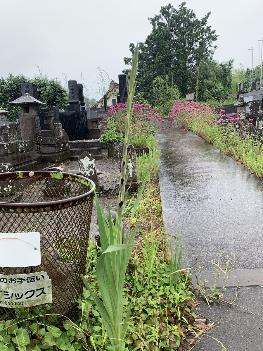 f:id:dohgen:20200619125438j:plain