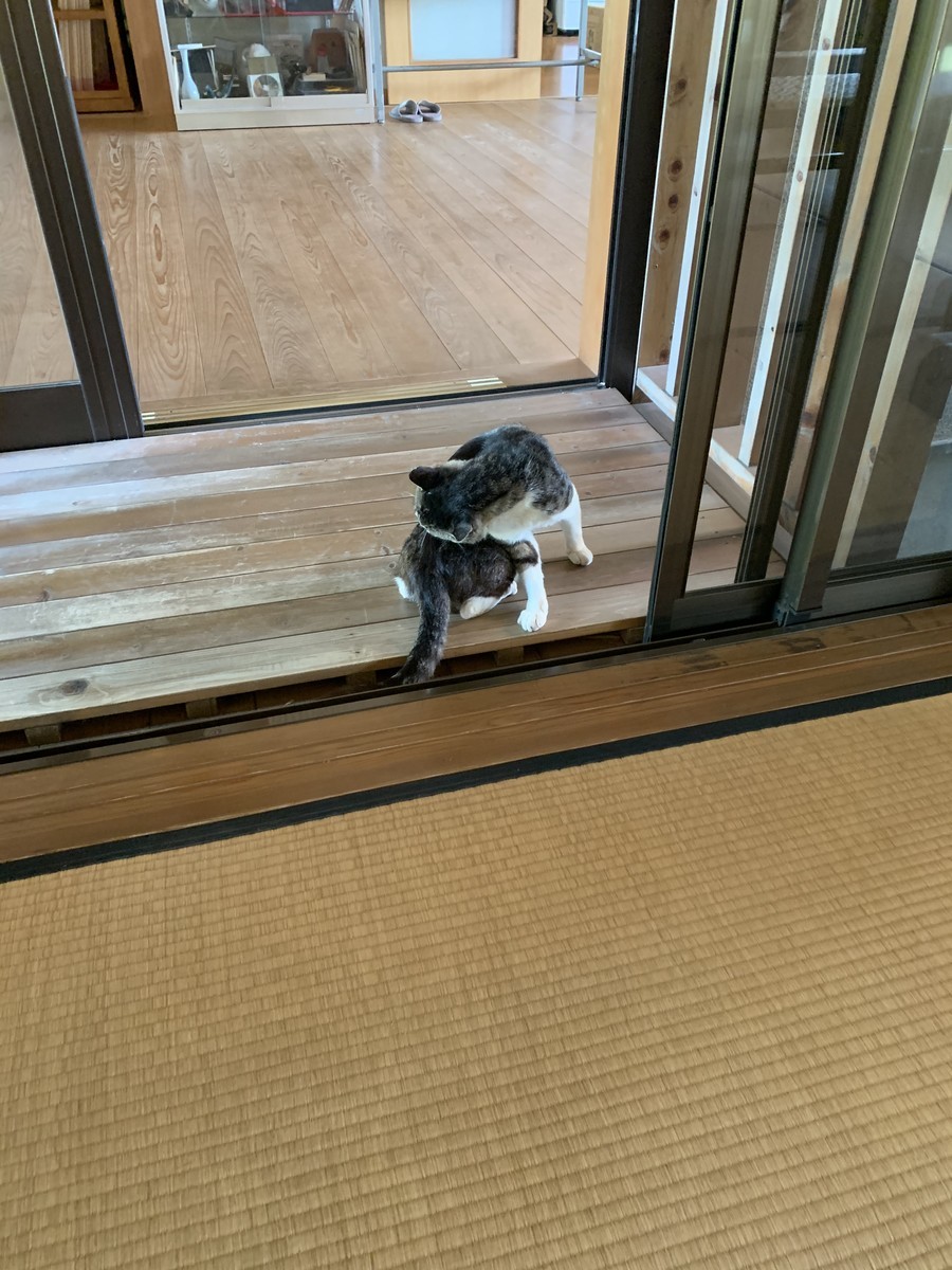 f:id:dohgen:20200629162956j:plain