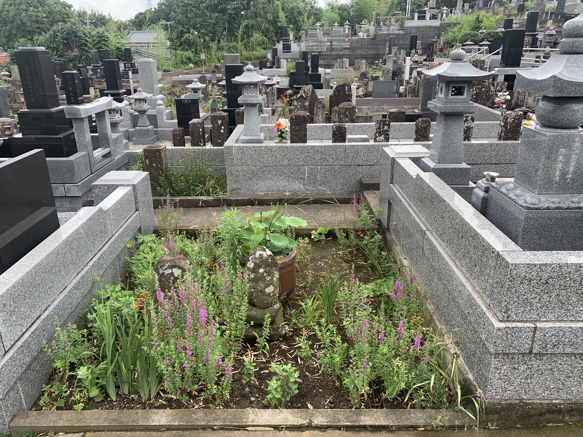 f:id:dohgen:20200705135049j:plain
