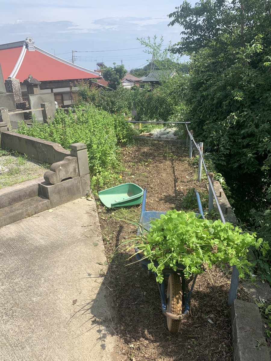 f:id:dohgen:20200712182226j:plain