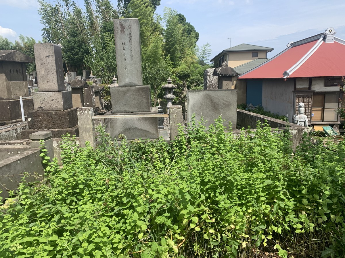 f:id:dohgen:20200712182336j:plain