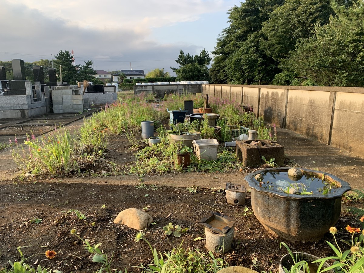 f:id:dohgen:20200719174426j:plain