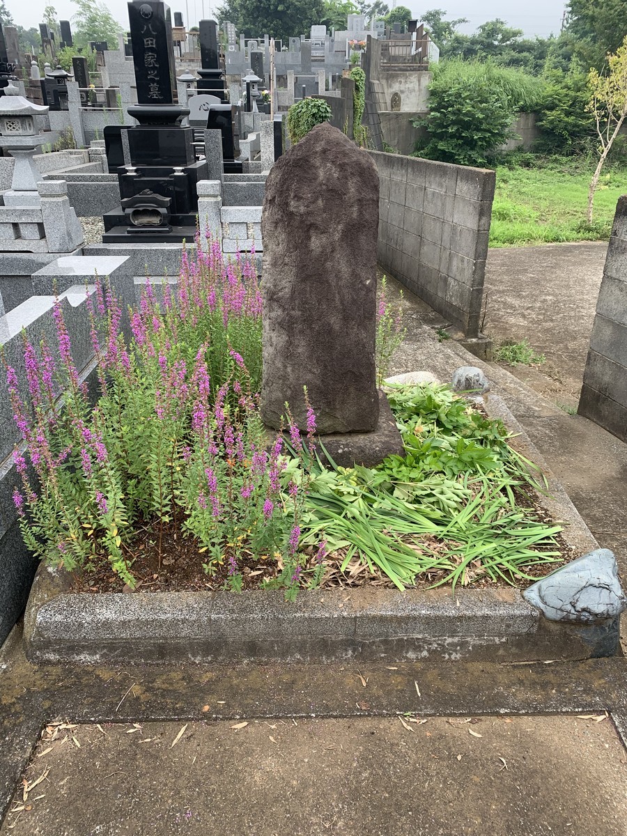 f:id:dohgen:20200721165217j:plain