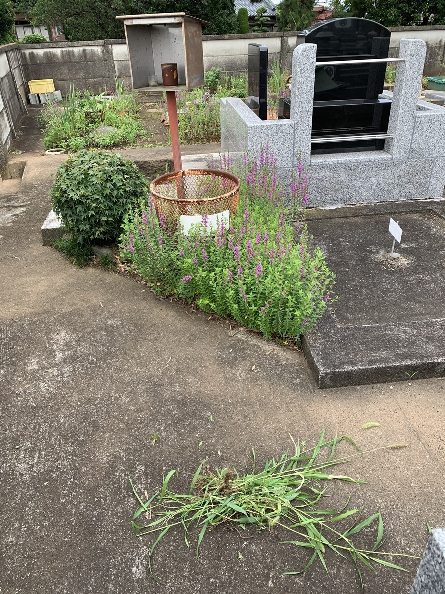 f:id:dohgen:20200721171439j:plain