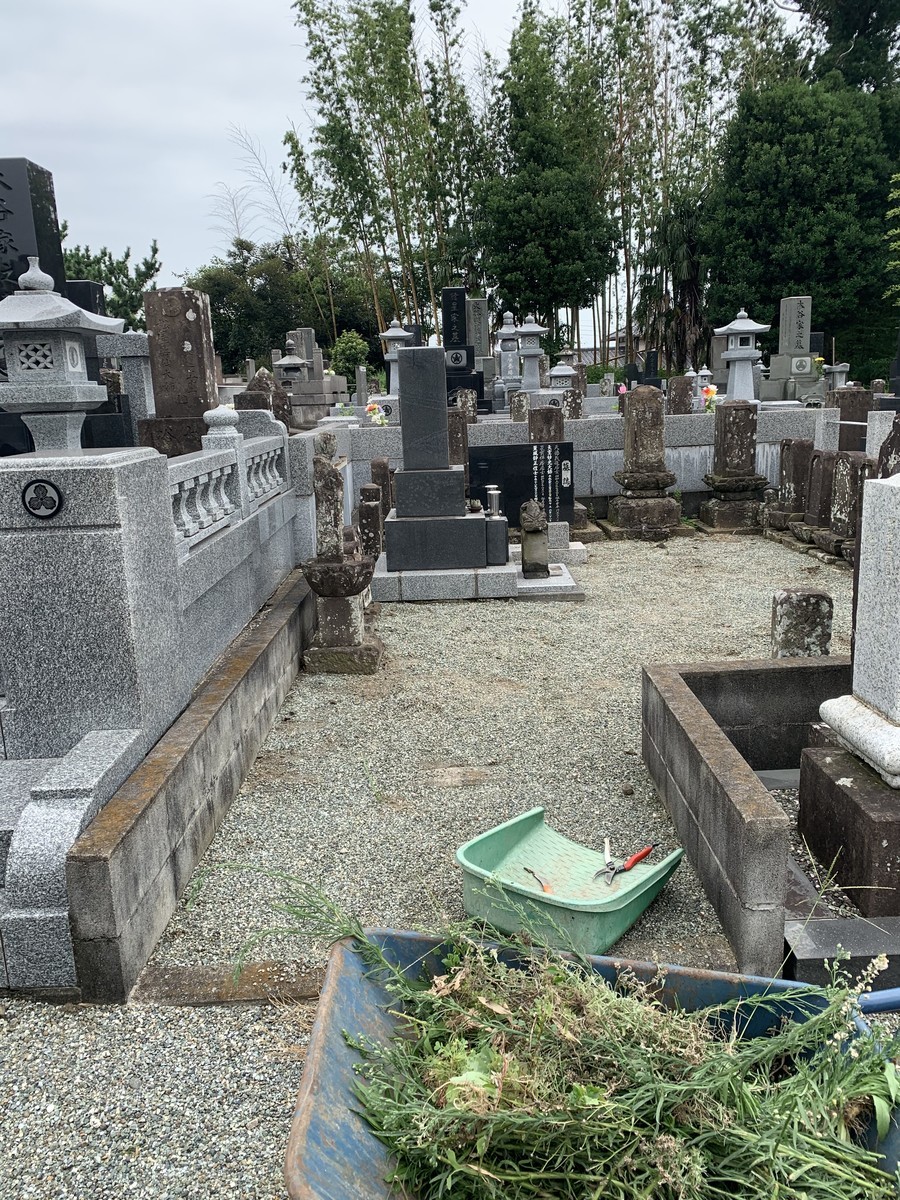 f:id:dohgen:20200721172415j:plain