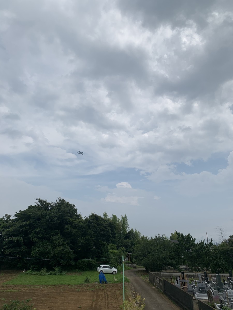 f:id:dohgen:20200722194737j:plain