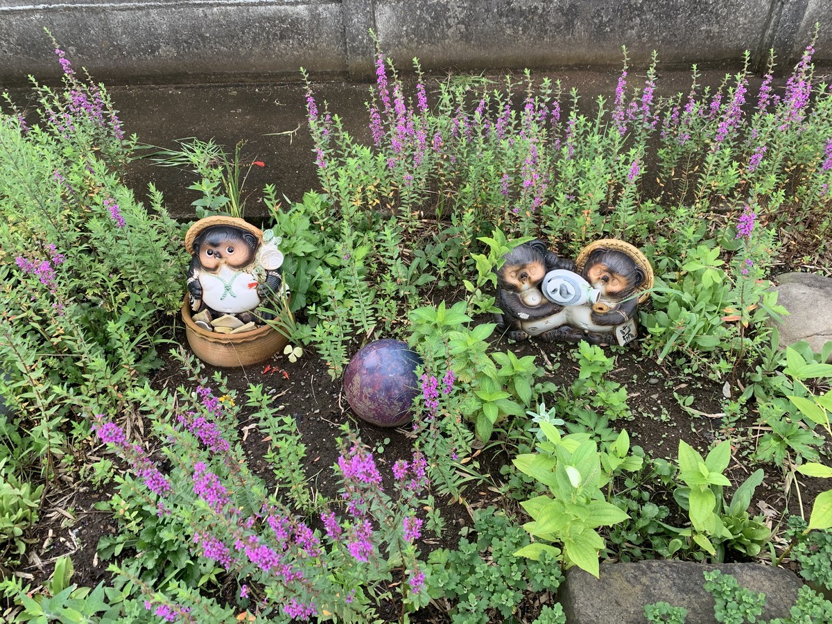 f:id:dohgen:20200728104510j:plain