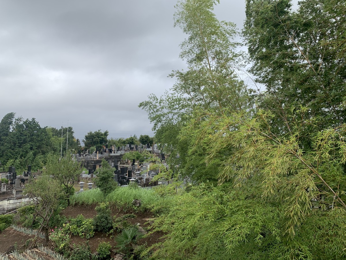 f:id:dohgen:20200907150657j:plain