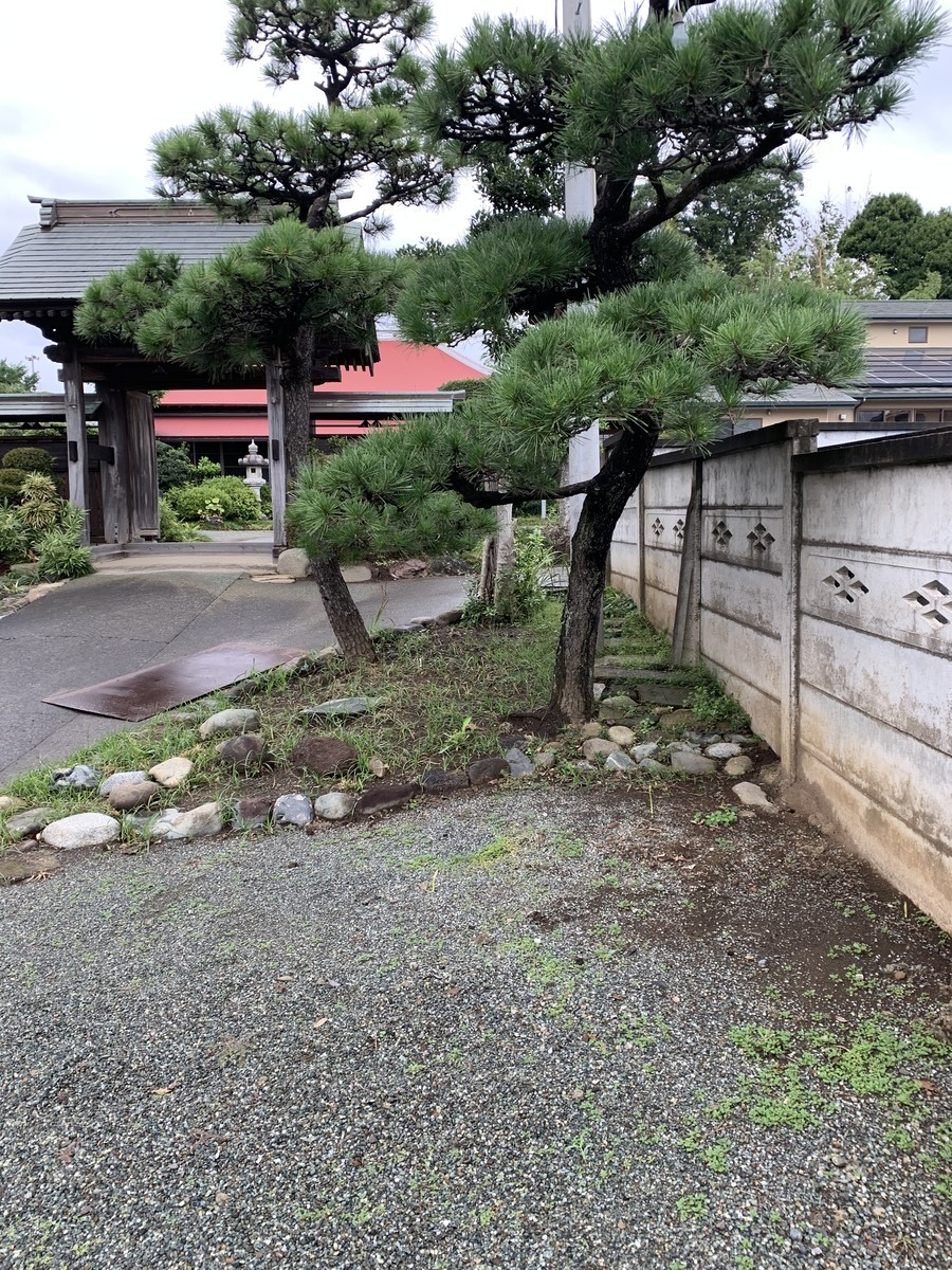 f:id:dohgen:20200923102531j:plain