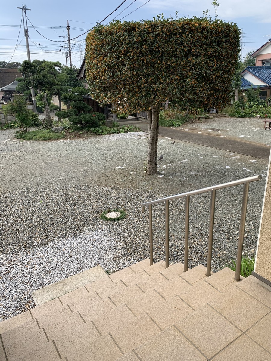 f:id:dohgen:20201015134653j:plain