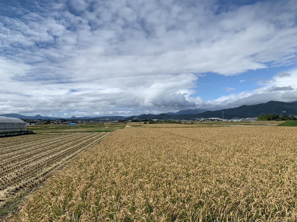 f:id:dohgen:20201026140226j:plain