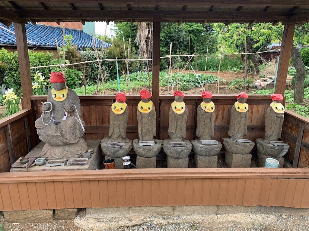 f:id:dohgen:20201101124145j:image