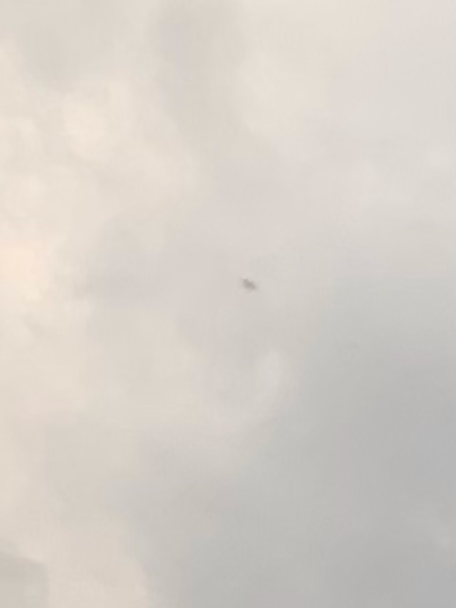 f:id:dohgen:20201111063552j:plain