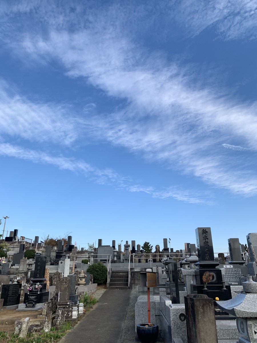 f:id:dohgen:20201130084310j:plain