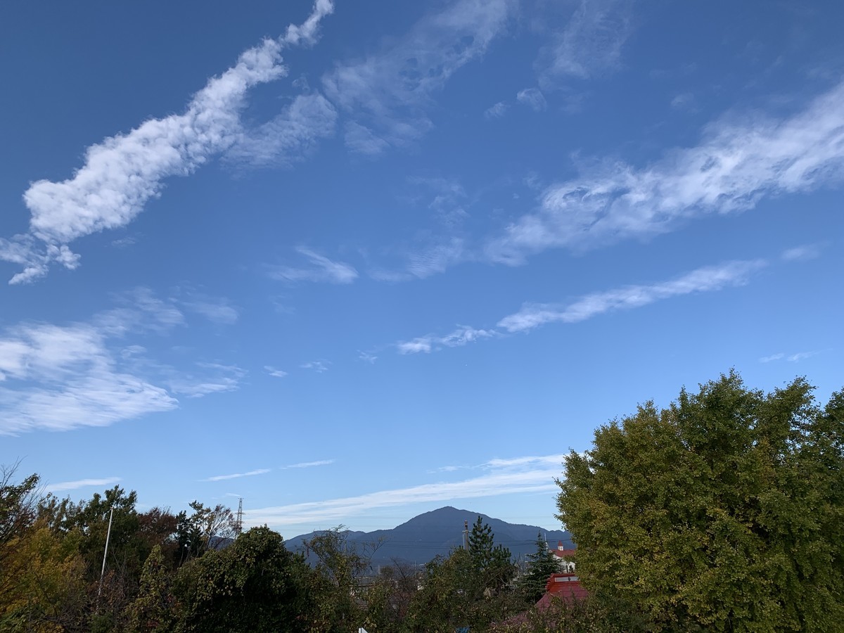 f:id:dohgen:20201130084943j:plain