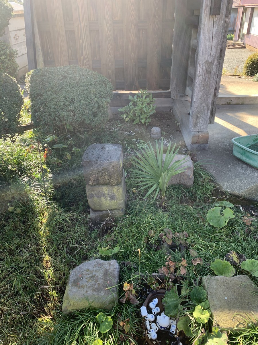 f:id:dohgen:20201207150541j:plain