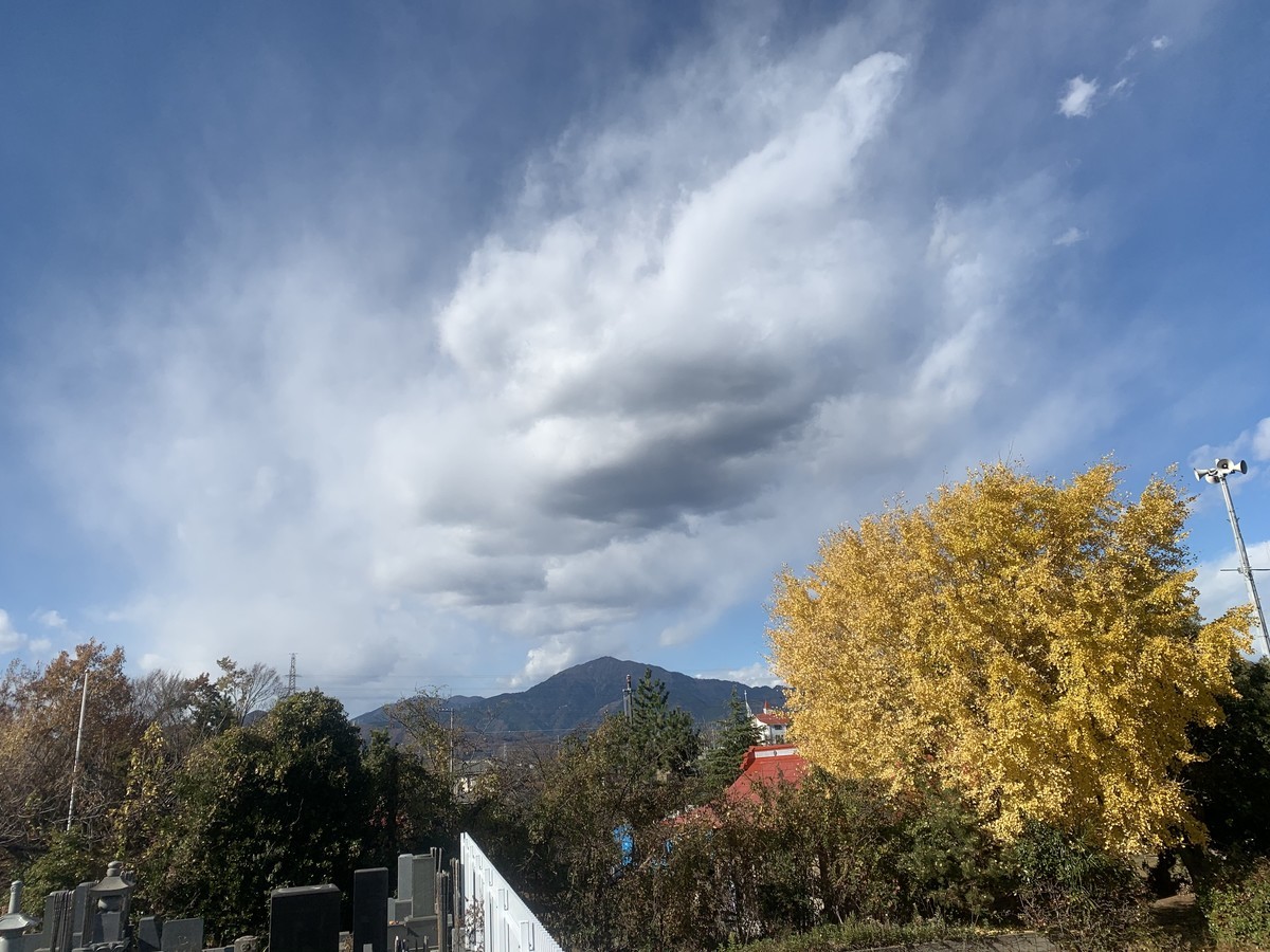 f:id:dohgen:20201216144805j:plain