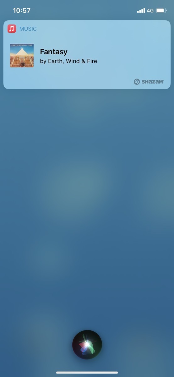 f:id:dohgen:20210201105705j:plain