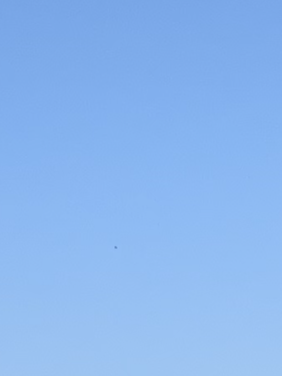 f:id:dohgen:20210208142114p:plain