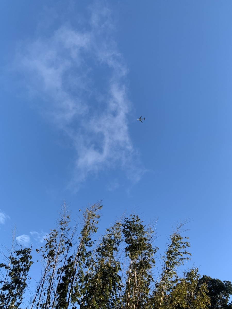 f:id:dohgen:20210215205531j:plain