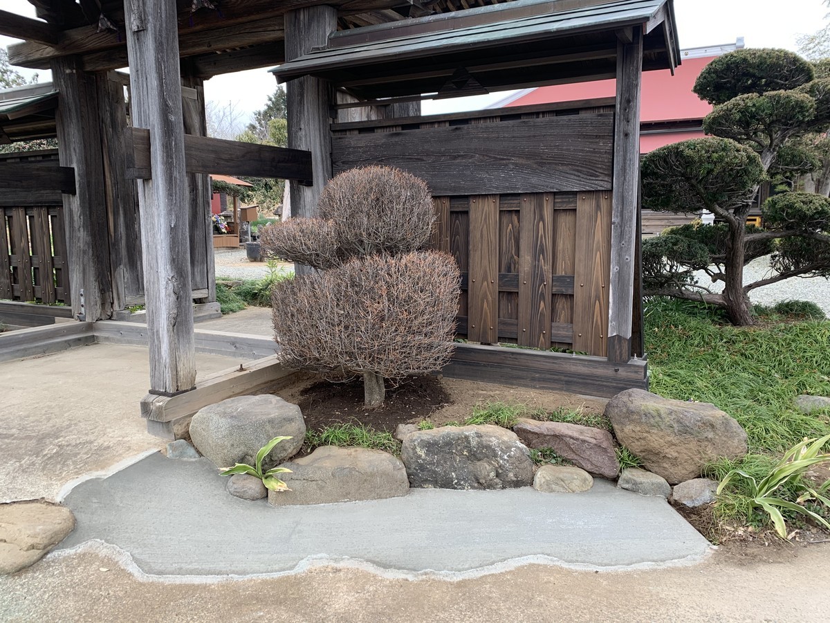 f:id:dohgen:20210312172922j:plain