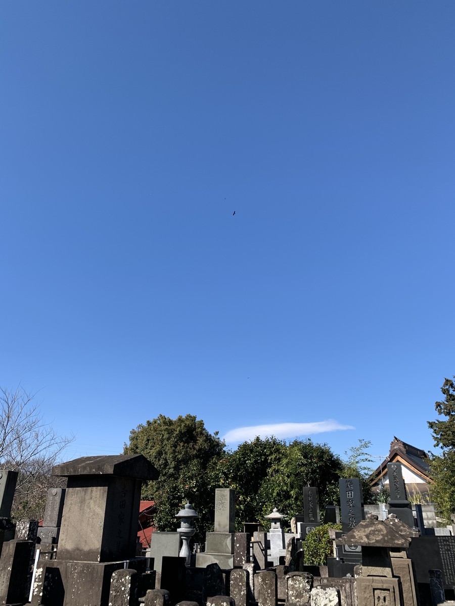 f:id:dohgen:20210314151531j:plain