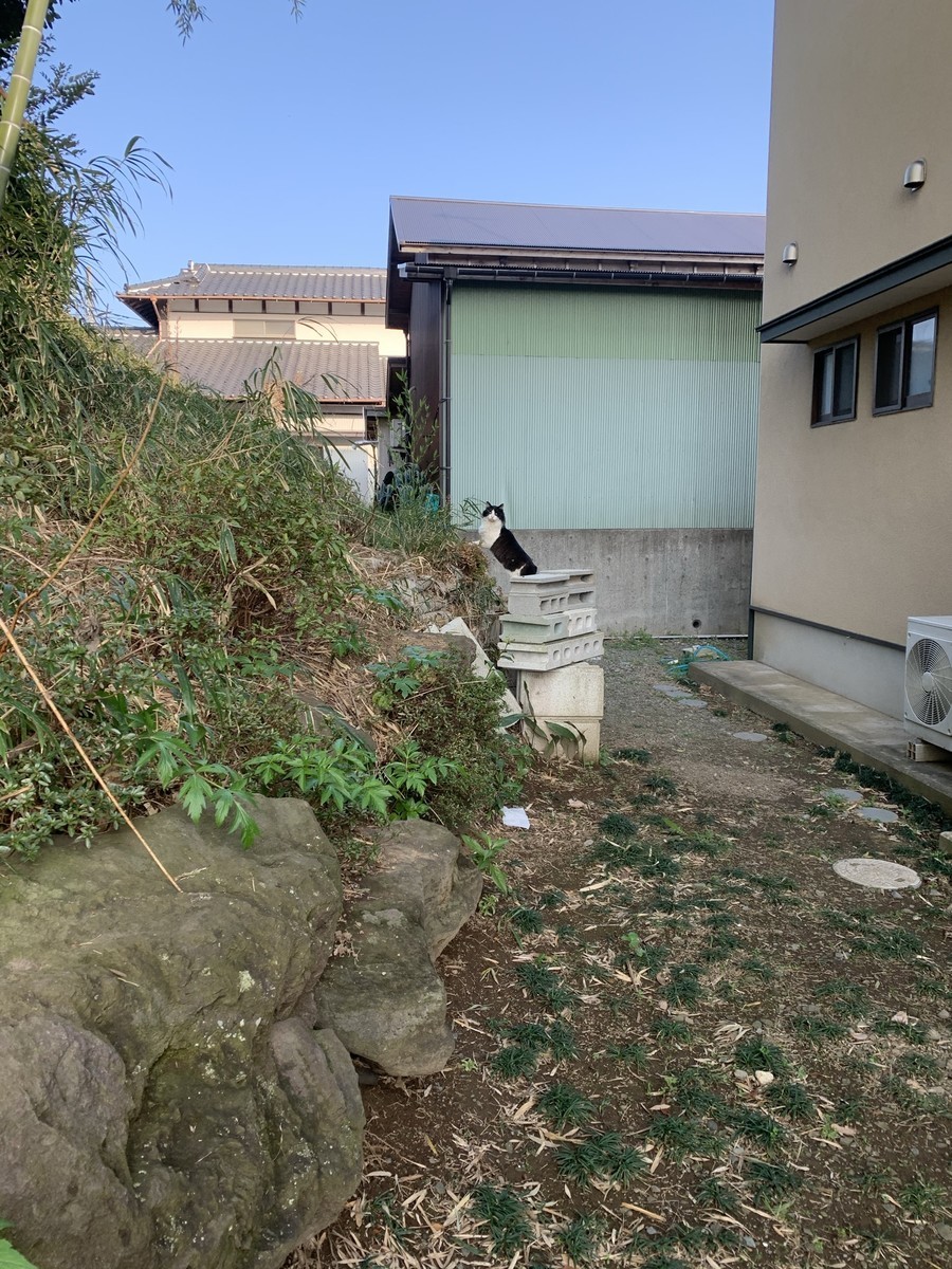 f:id:dohgen:20210316155513j:plain
