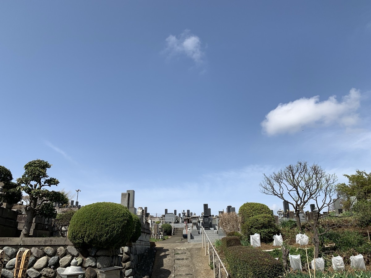 f:id:dohgen:20210329134250j:plain