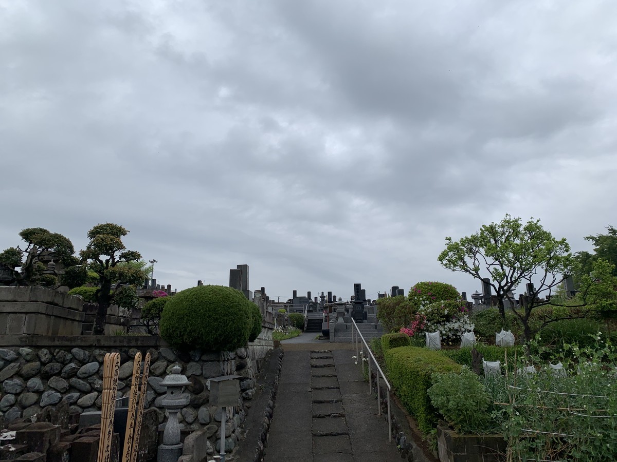 f:id:dohgen:20210417144256j:plain