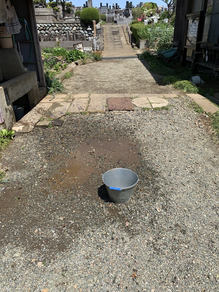 f:id:dohgen:20210419074339j:plain