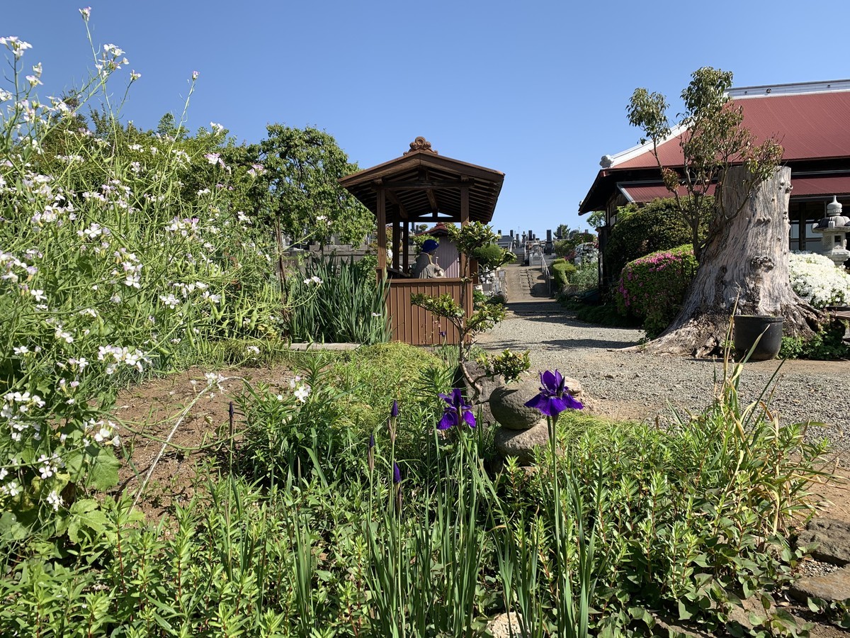 f:id:dohgen:20210423090924j:plain