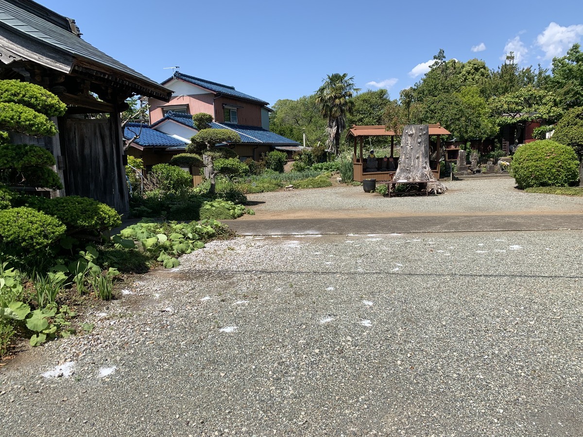 f:id:dohgen:20210503163159j:plain
