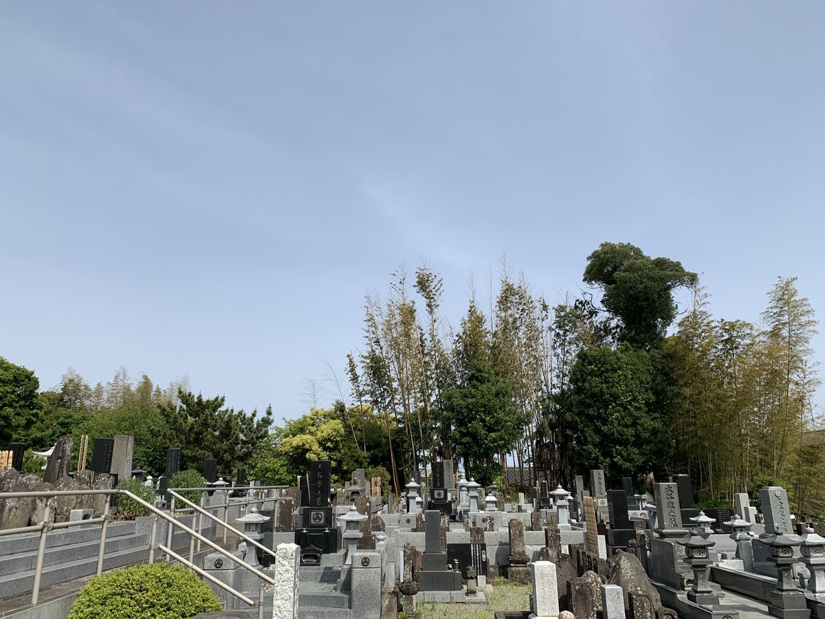 f:id:dohgen:20210505112230j:plain