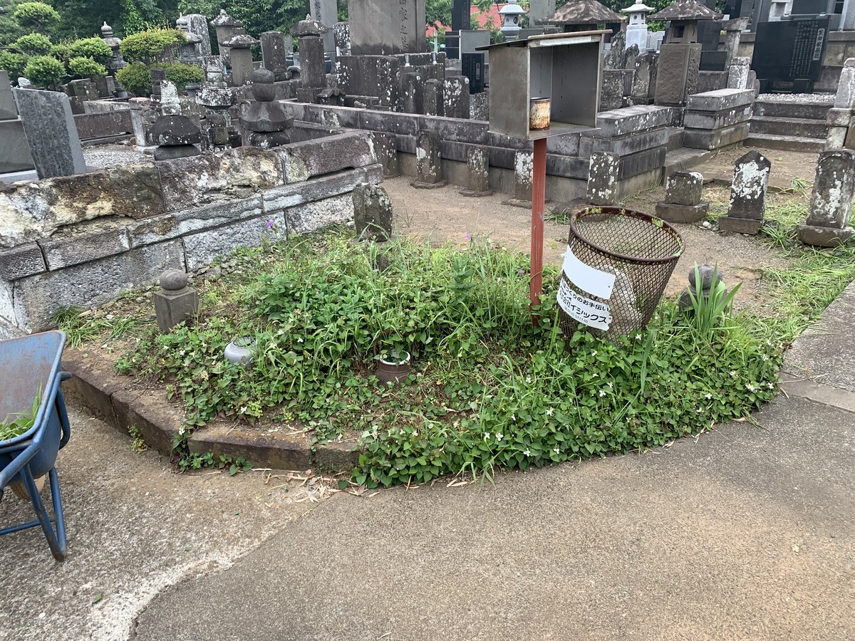f:id:dohgen:20210512190929j:plain